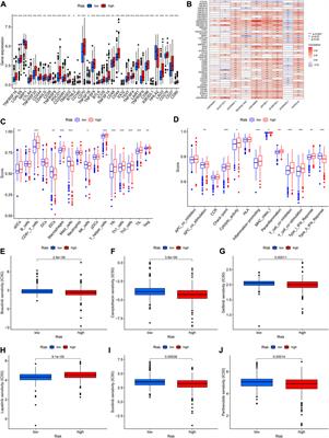 Chromatin regulators-related lncRNA signature predicting the prognosis of kidney renal clear cell carcinoma and its relationship with immune microenvironment: A study based on bioinformatics and experimental validation